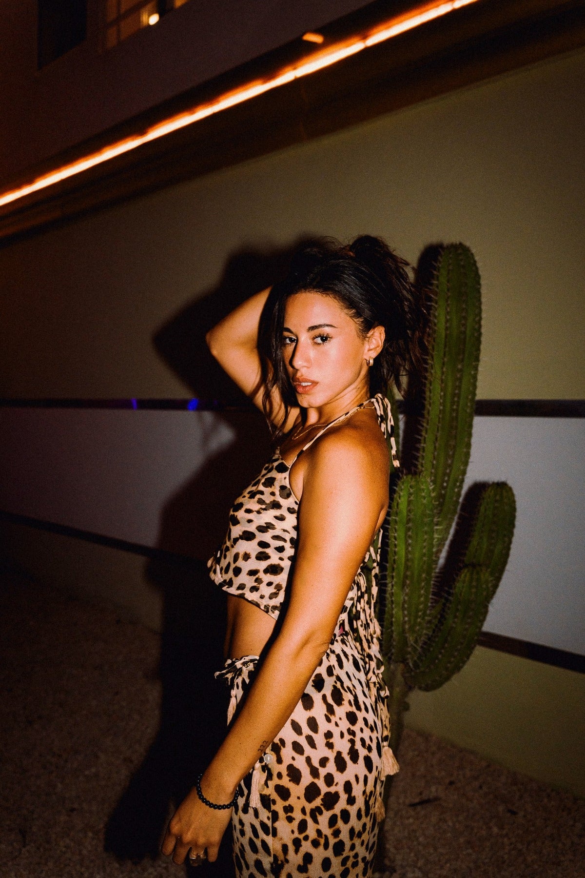 CHICHI cheetah print chiffon halter crop top, front detail