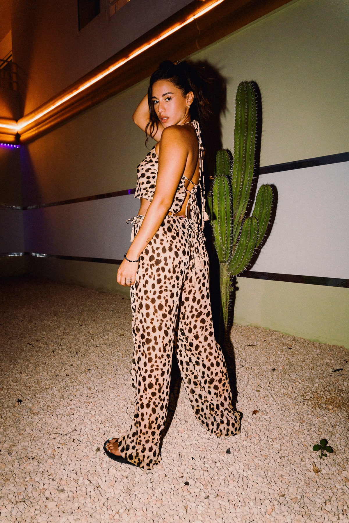 CHICHI cheetah print chiffon trousers and matching halter crop top