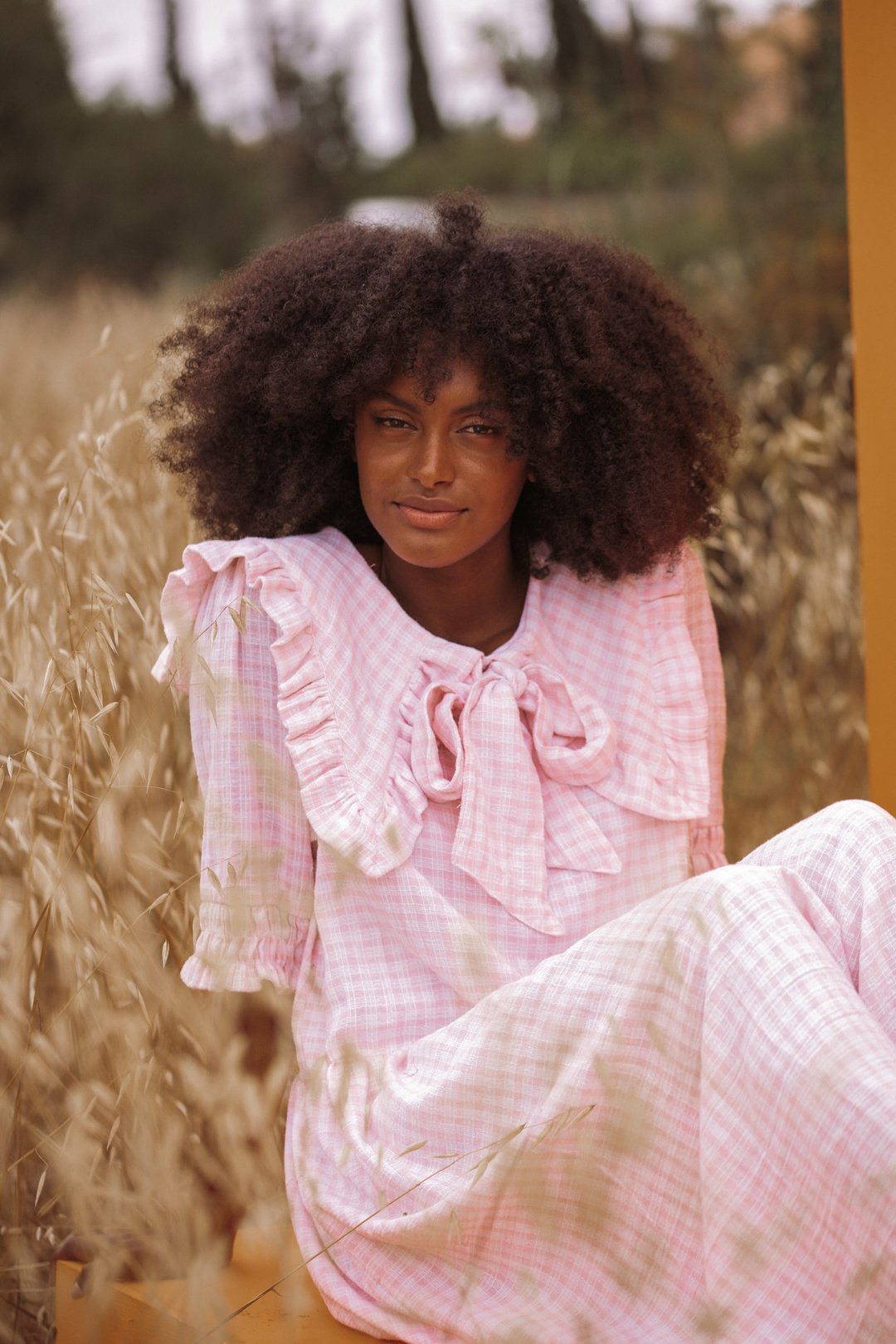 DOROTHY Dress - Pink Gingham