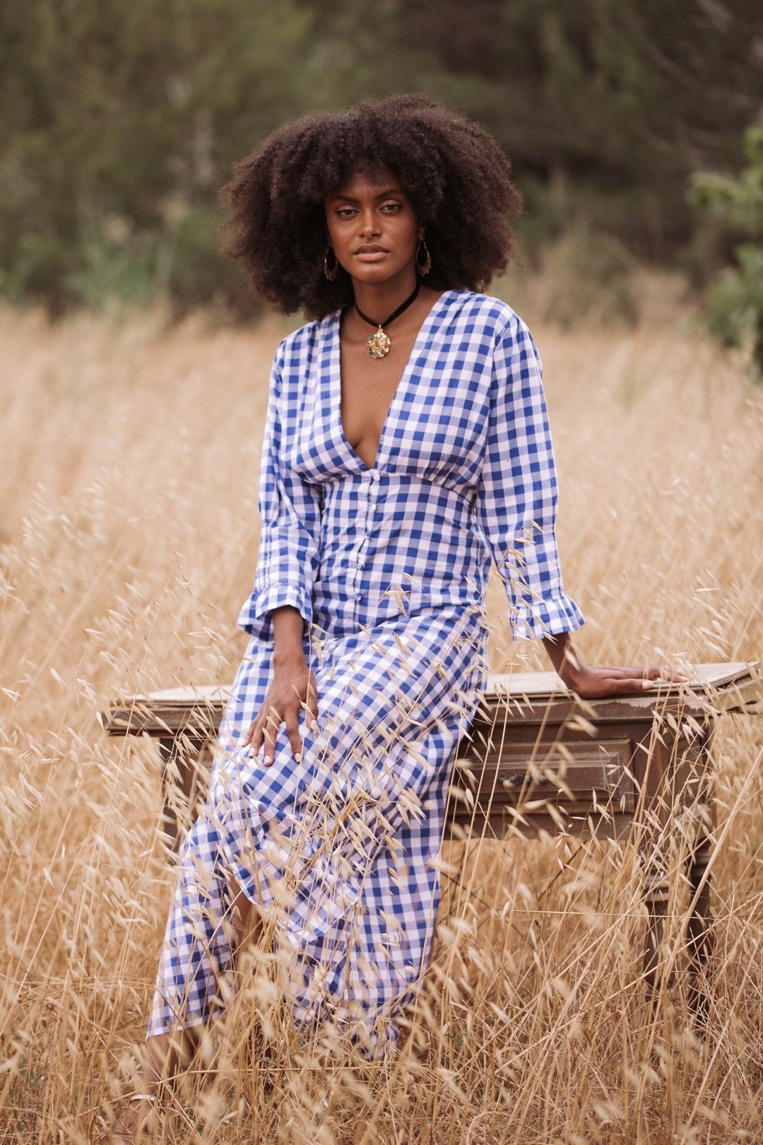 MABEL Cotton Dress - Blue Gingham