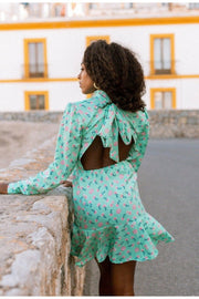 SOFIA Mint Green Retro Floral Skater Mini Dress